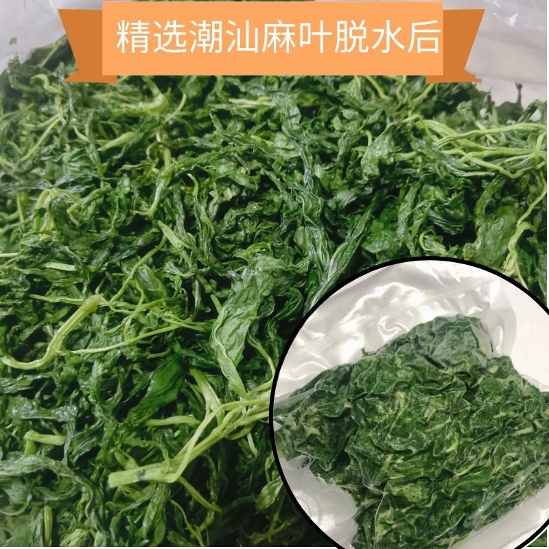 潮汕麻葉菜白麻葉紅麻葉脫水麻葉菜潮汕潮陽潮汕麻葉菜 脫水麻葉菜(真