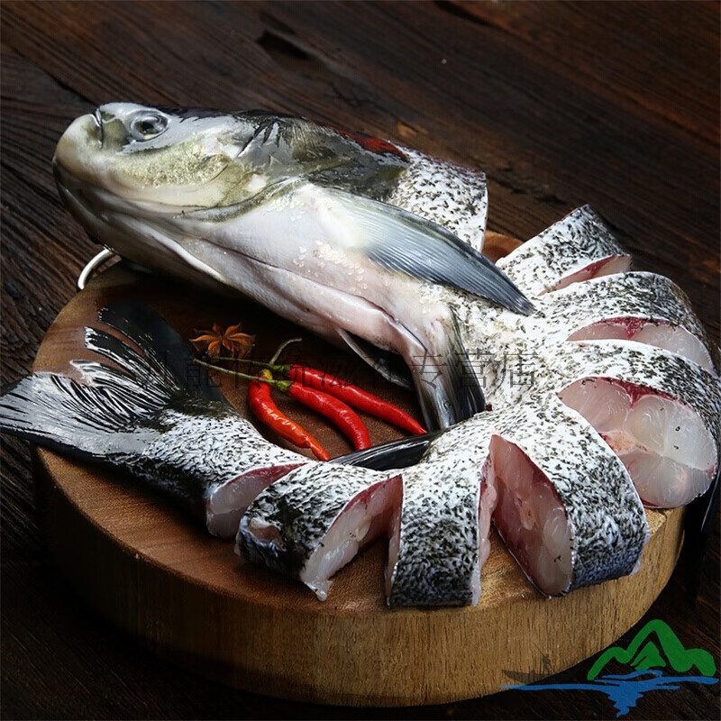 千岛湖胖头鱼千岛湖活鱼大鱼头包头鱼活体大头鱼花鲢鳙鱼鲜活水产