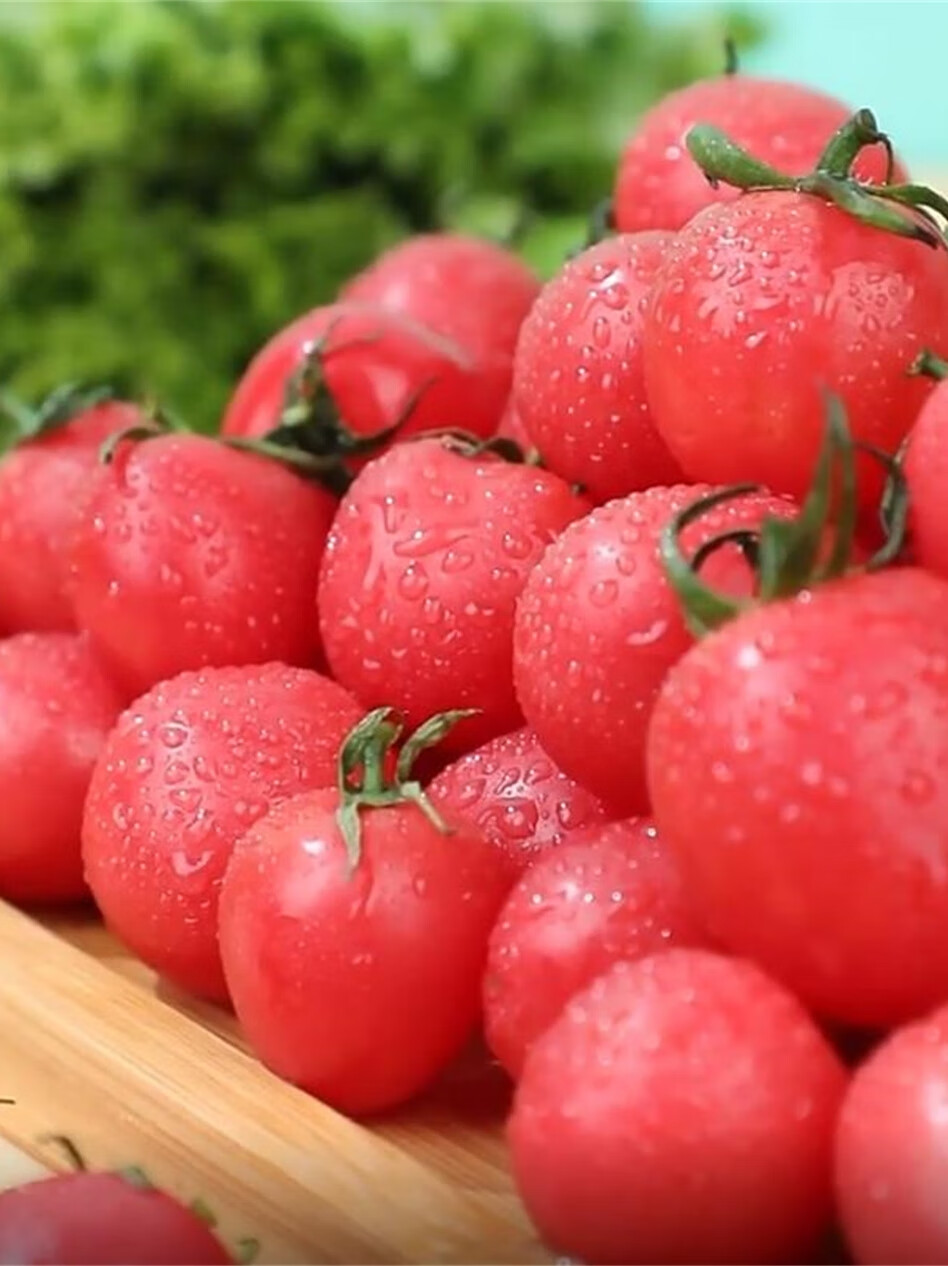 正宗山东千禧果5斤 自然熟千禧小番茄圣女果新鲜水果农家直销 千禧果5