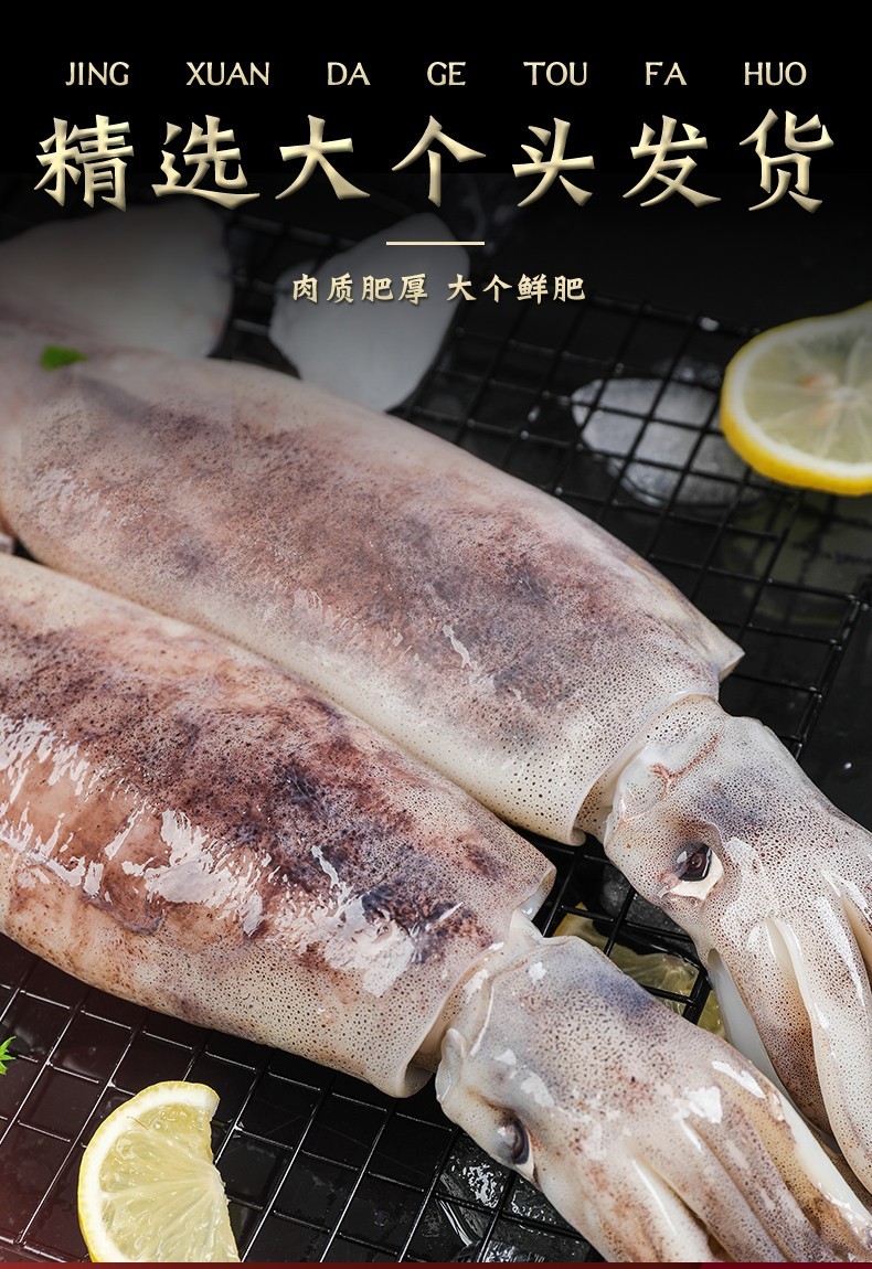 海捕大鱿鱼整只冷冻大鱿鱼整箱批发海鲜烧烤火锅食材新鲜海鲜软足类