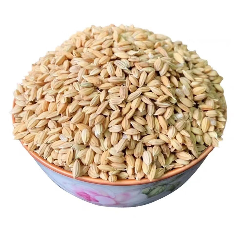 稻谷喂鸡10斤带壳谷子东北水稻稻谷粮食杂粮喂鸡鸭鹅鸽鸟宠物饲料5斤