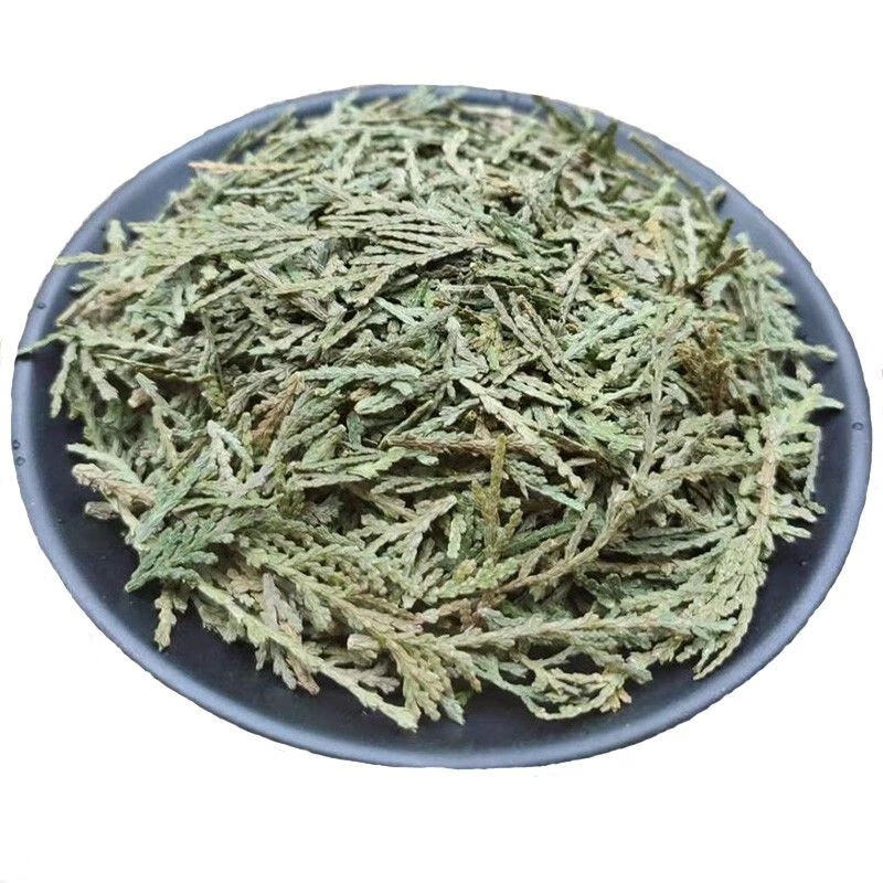 野生侧柏叶天然扁柏叶水新鲜晒干侧伯叶泡酒洗发有仁堂 侧柏叶500克