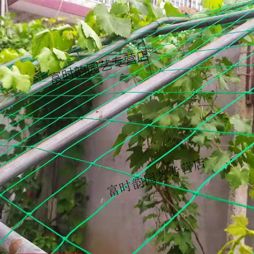 架园艺爬藤网葡萄黄瓜植物爬藤搭架网加强版尼龙网牵牛花攀爬网家用