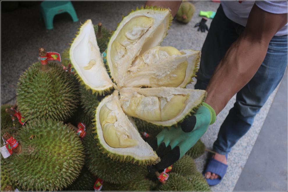 獨愛 泰國金枕榴蓮新鮮泰國榴蓮金枕頭特產現摘現髮帶殼小巴掌榴蓮肉w