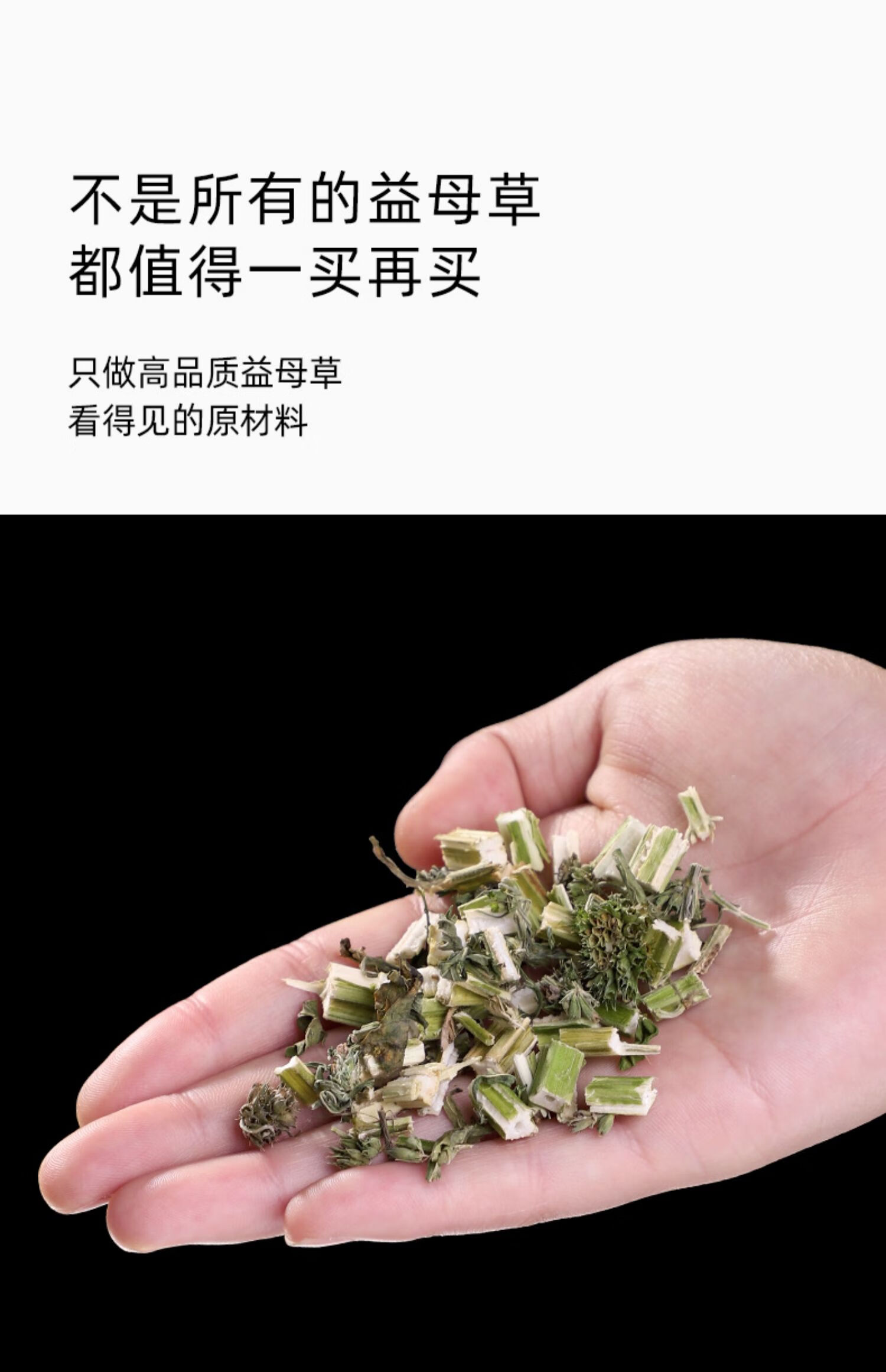 堂益母草中藥材泡水喝500g乾草曬乾新鮮食用葉茶包女生調理調經泡腳