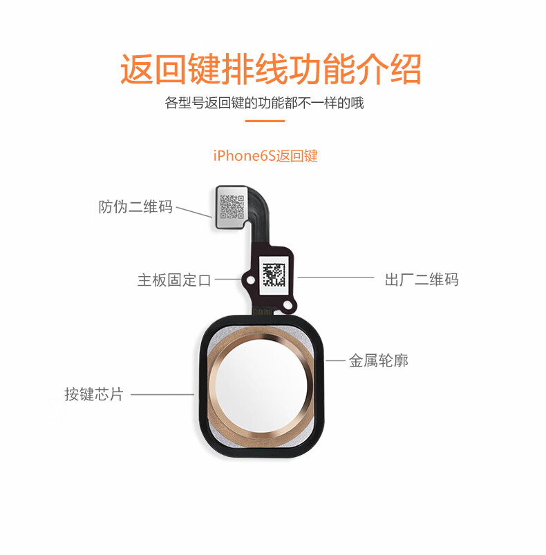 适用于苹果6按键home键iphone6plus返回键排线6s/6p/6splus手 【6s