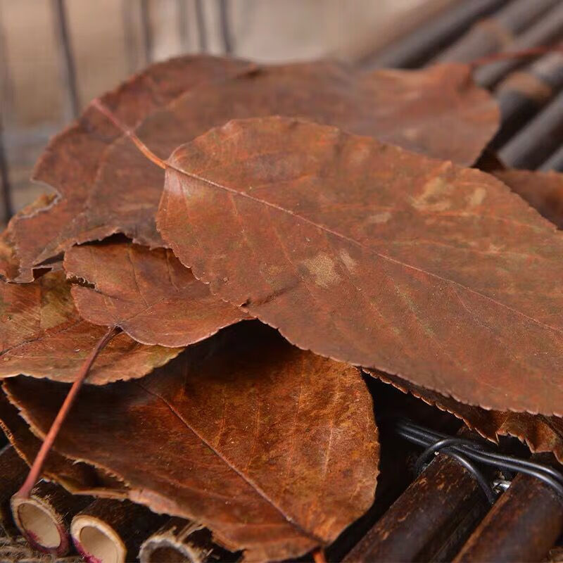 新货山楂叶天然野生山楂叶山楂叶子茶泡水养生山楂叶茶100克500克