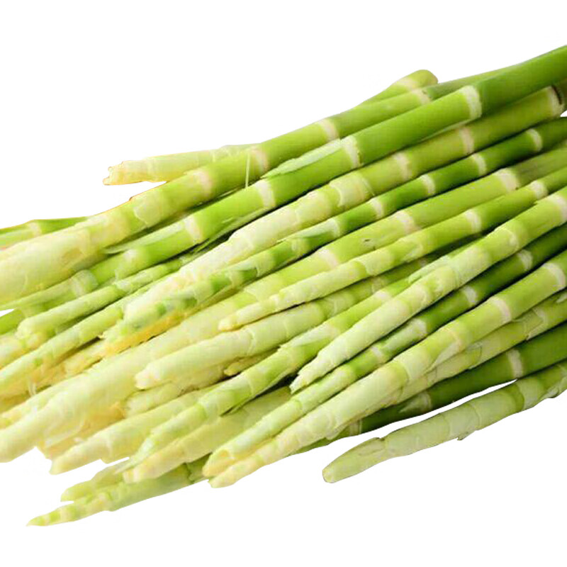 小竹笋 鲜笋新鲜 当季小春笋尖 现挖竹笋 小甜笋蔬菜 5斤(带壳)