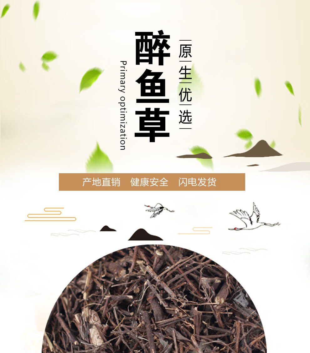 醉鱼草的药用功效图片