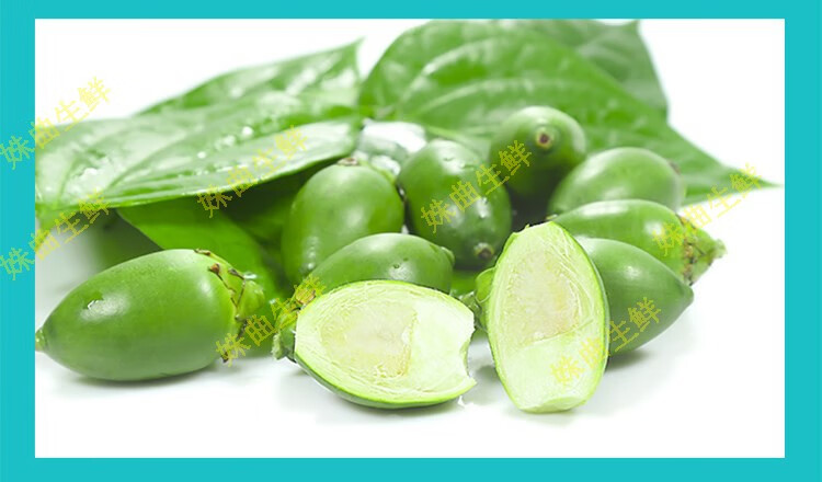 海南新鲜槟榔水果 (带配料) 生槟榔青果 鲜果青仔 100g(体验装) 新鲜