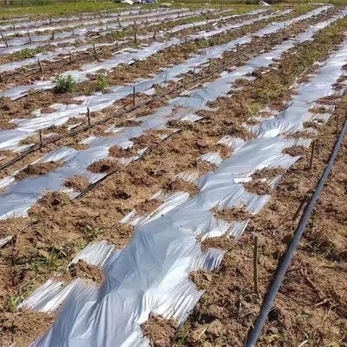 【精选】农用地膜黑色白色银黑双色地膜防草防虫草莓大棚地膜 20斤黑