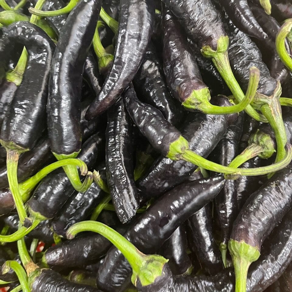 云南德宏农家自种新鲜黑辣子生辣椒很很爽口黑皮辣子不打农1斤