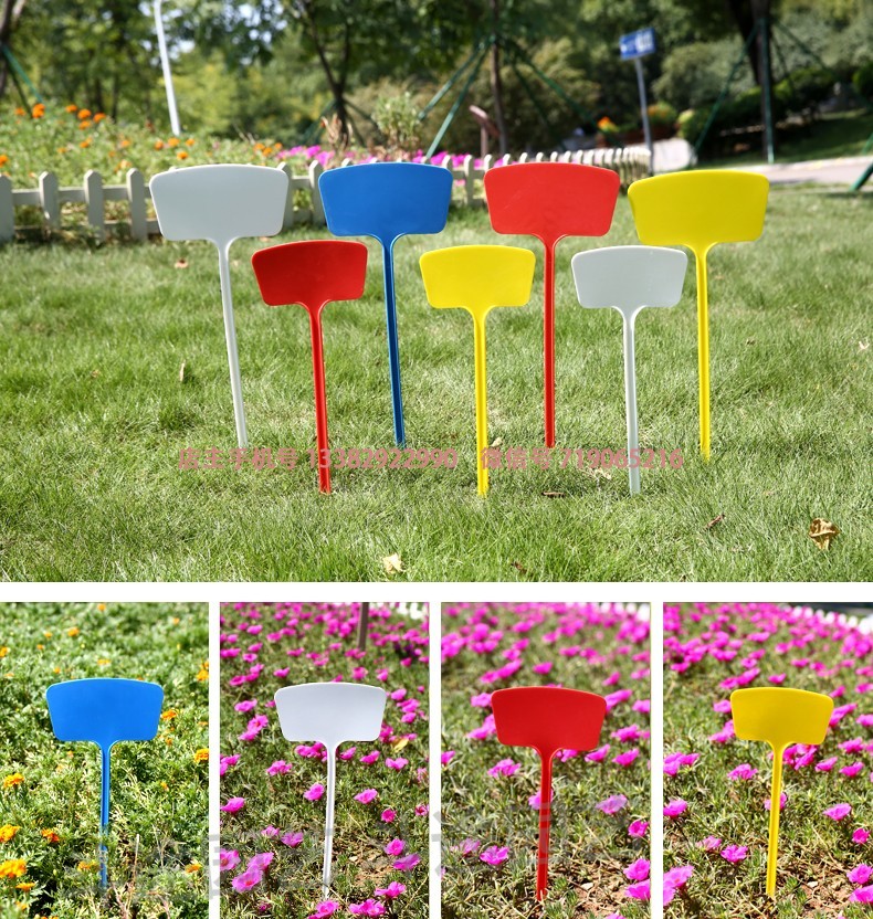 鑫琪斗途园艺规格塑料大号插地牌50组合园艺标签园艺标识牌指示牌地插