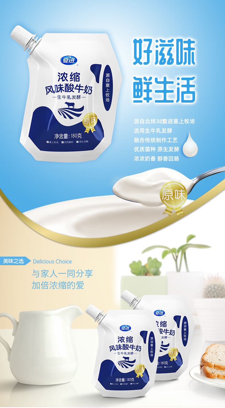 夏进浓缩酸牛奶180g×12袋 营养发酵低温酸奶