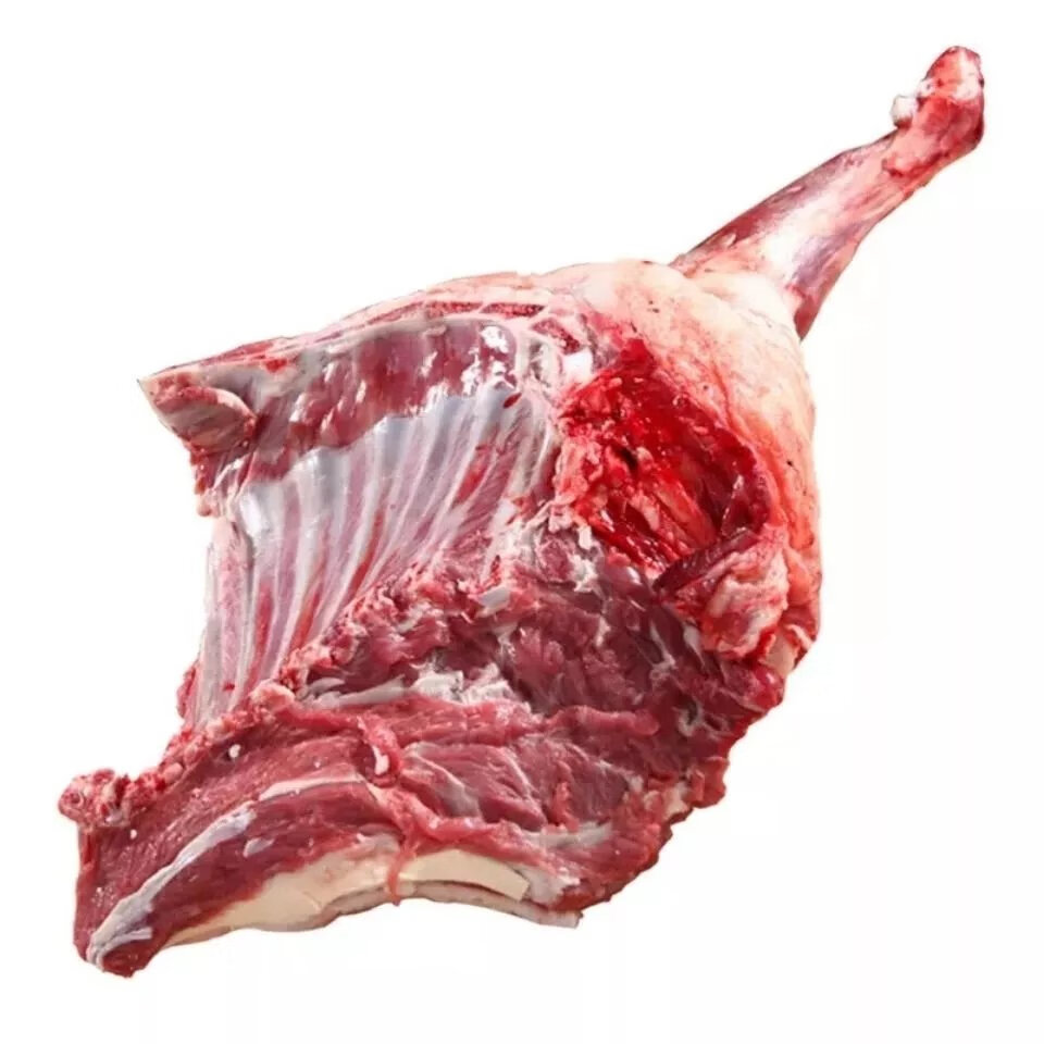 新鲜散养现杀半只羊前腿后腿肉羊排白条羊腔带骨小山羊肉全羊组合 现