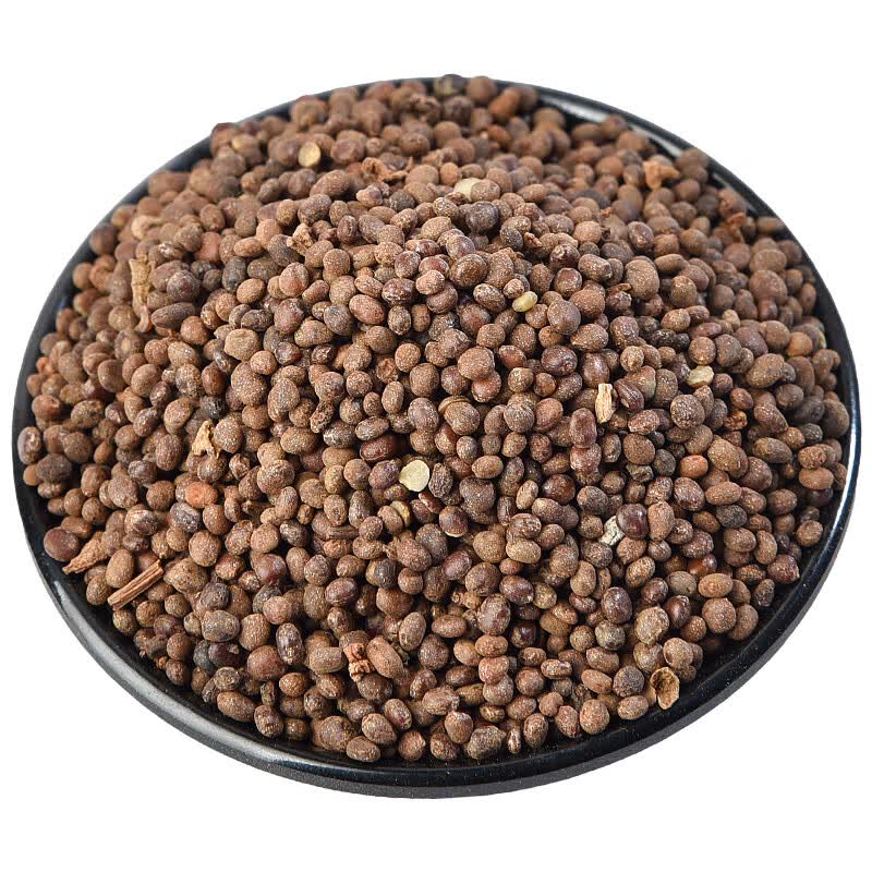 同仁堂急性子500克g中药凤仙花子指甲花子指甲花籽凤仙子中药材店铺