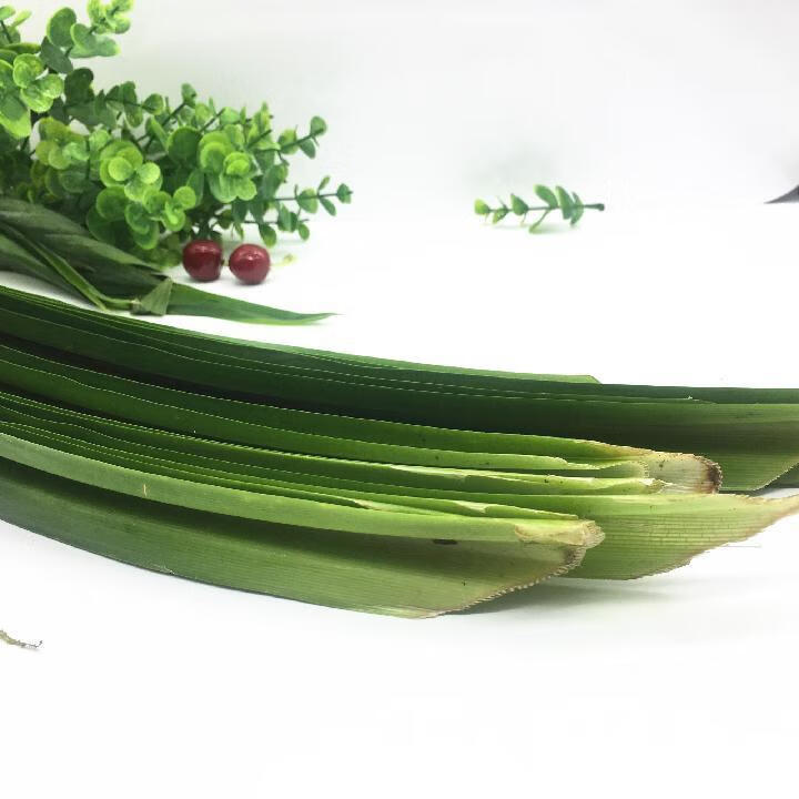 【第2斤减5】泰国新鲜班兰叶500g 香兰叶斑斓叶千层蛋糕烘焙 1斤香兰