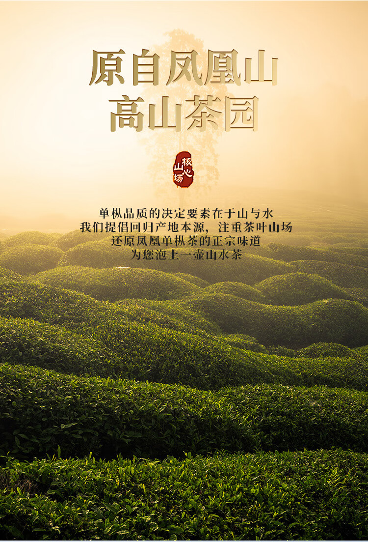 凤凰单丛鸭屎香蜜兰香茶叶凤凰山高山乌岽单枞茶浓香型礼盒装礼 蜜