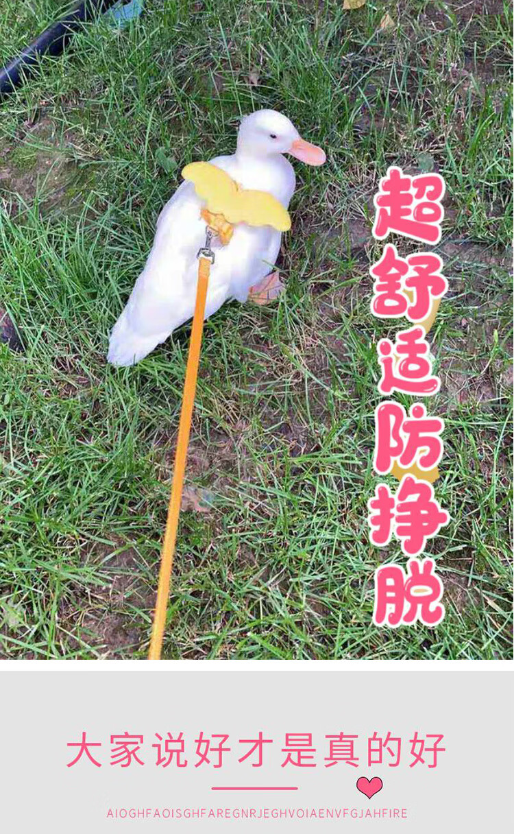 小鸭子牵引绳遛鸭子绳胸背带式牵引绳子小鸡绳宠物鹅用品夏季网红柯尔