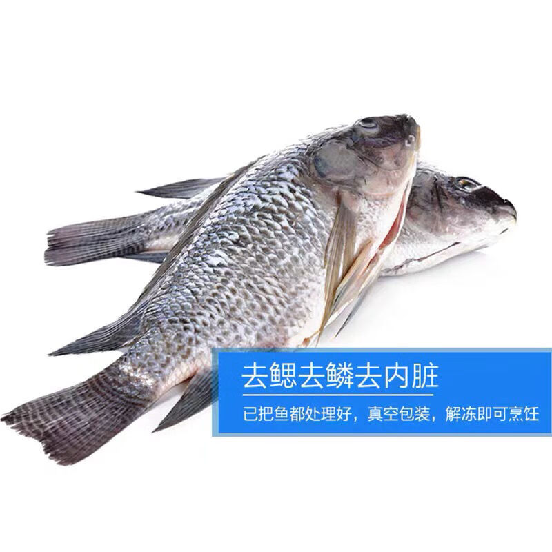 宏嘉睿 杀好罗非鱼整条新鲜冷冻开背去鳞去内脏非脆肉 鲢鱼尾巴(单个1