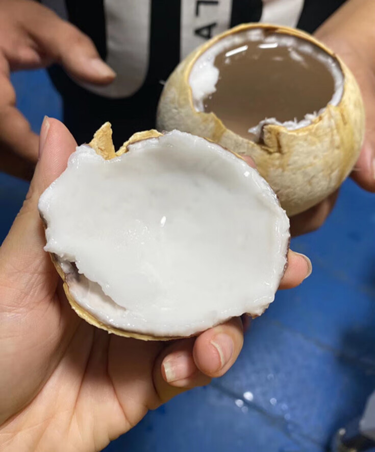 椰皇小椰皇新鲜去皮椰子孕妇水果2个装大果甘甜可口
