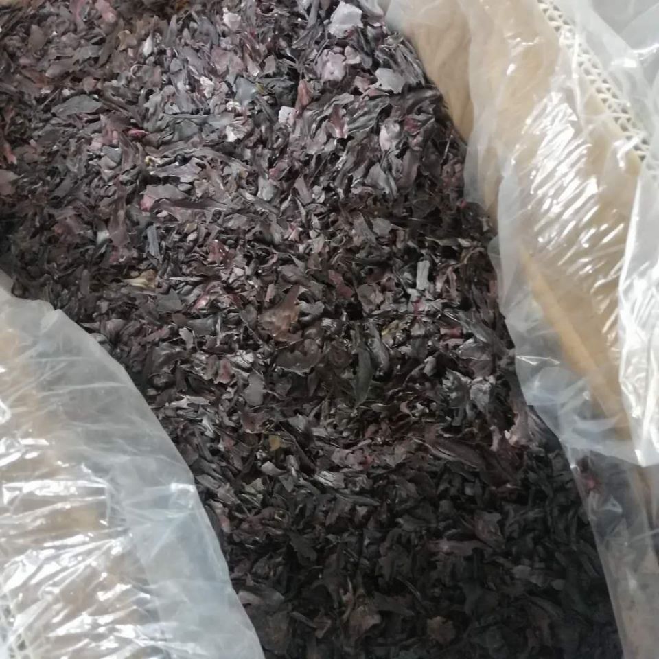 【官方旗舰】天然原生红皮藻500克大片掌状红藻 红海藻 掌状红皮藻