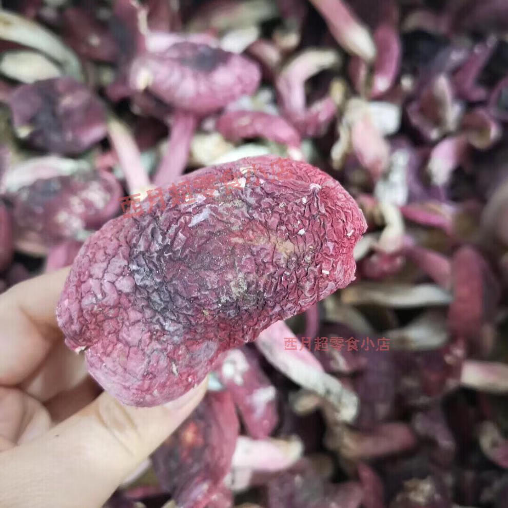 南平红菇 红菇红蘑菇月子菇干货红菌干货福建武夷山正红菇干品 黄色