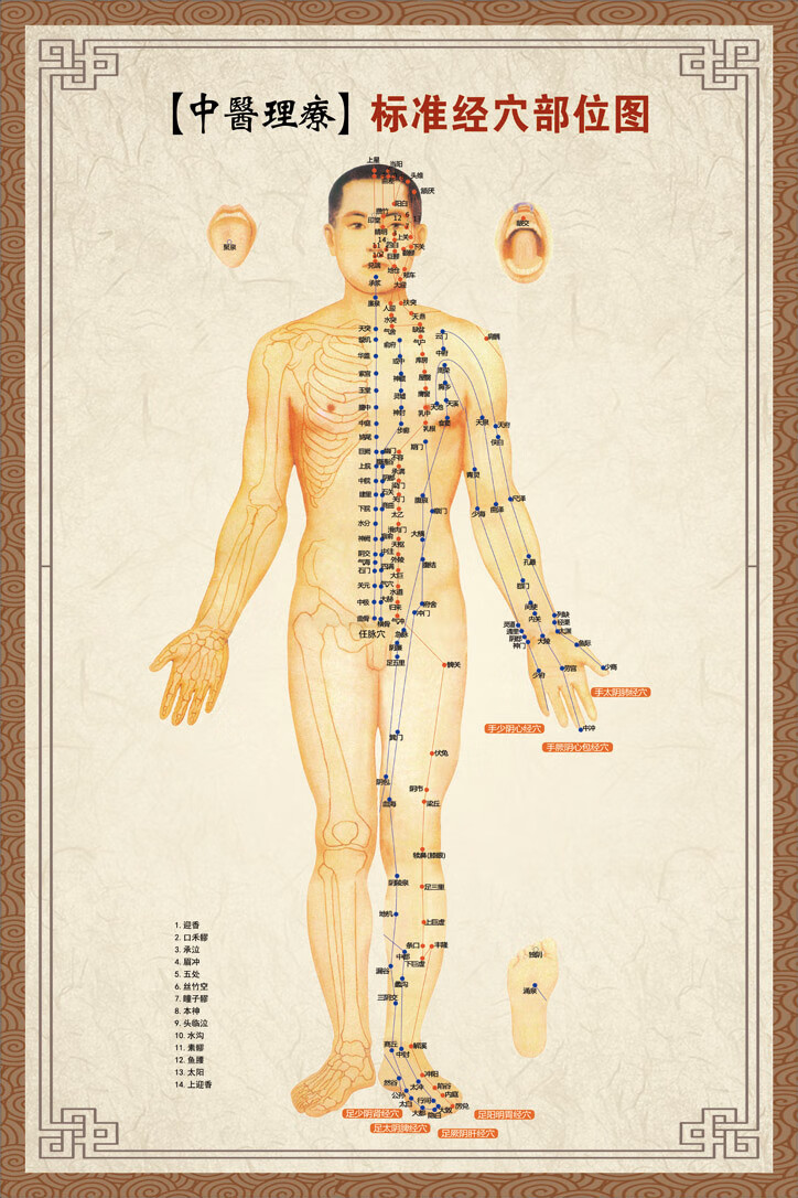 针灸艾灸人体经络穴位图大挂图足部全身中医身体养生保健按摩海报