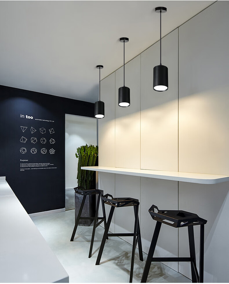 朴珀妮明装筒灯吊线餐厅前台吧台吊灯长桶圆形吊装led射灯10w20w30瓦