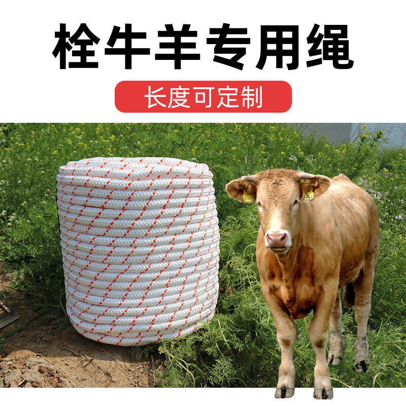 神器育肥拉牛缰绳龙头龙套牵牛笼套脖套 绳子直径14mm粗/4米长【图片