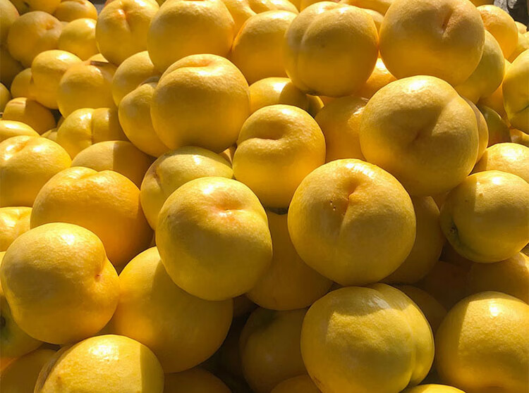 黄油桃新鲜水果孕妇应季桃子山东蒙阴脆甜黄心黄金桃5斤
