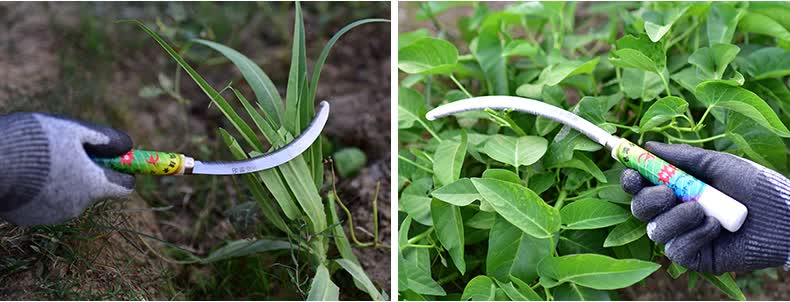 定制适用农用除草工具锰钢锯齿镰刀割草刀户外割韭菜迷你小镰刀弯刀