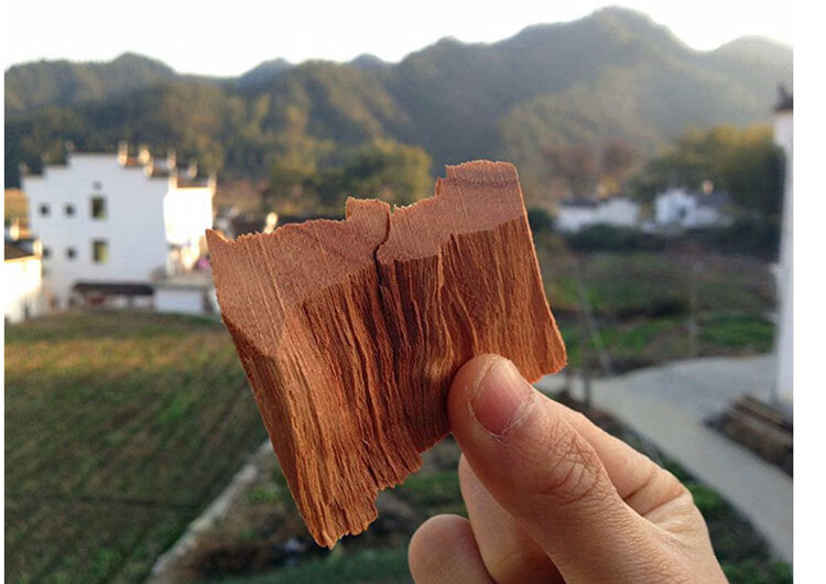 樟木条非粉屑 居家生活日用净化除味创意驱虫用具 老樟根片一斤白樟木