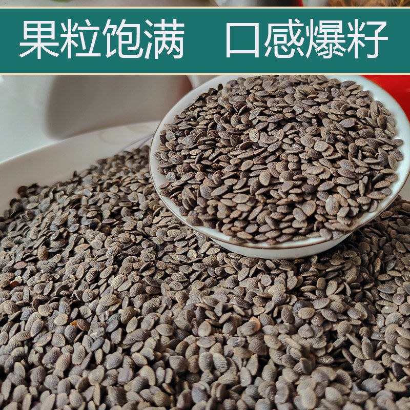 广西网红百香果纯籽零食爆籽百香果种子咔咔脆 2斤百香果纯籽(湿籽)