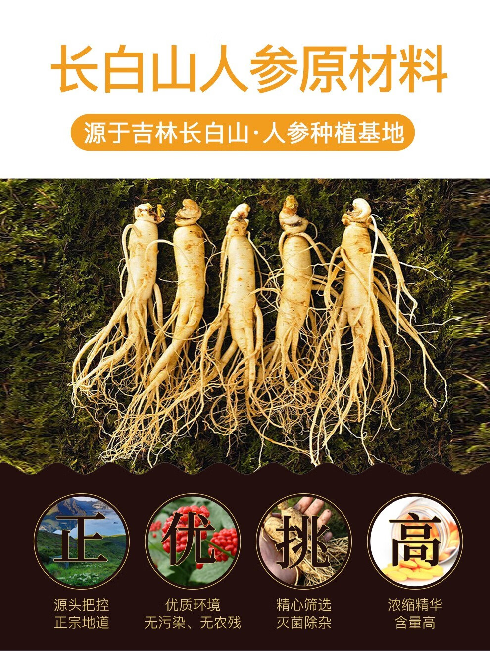 人参粉十大品牌(人参皂苷生产厂家排名) 人参粉十大品牌(人参皂苷生产厂家排名)