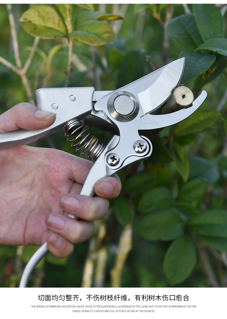 进口sk5锰钢修枝剪刀树枝剪果枝剪果树剪刀园林园艺粗枝剪银色铝柄剪