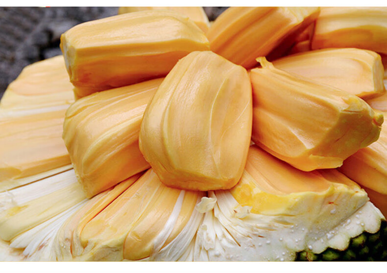 海南 红肉菠萝蜜 红心 新鲜水果一整个木菠萝蜜大果熟果10-12-16斤 12