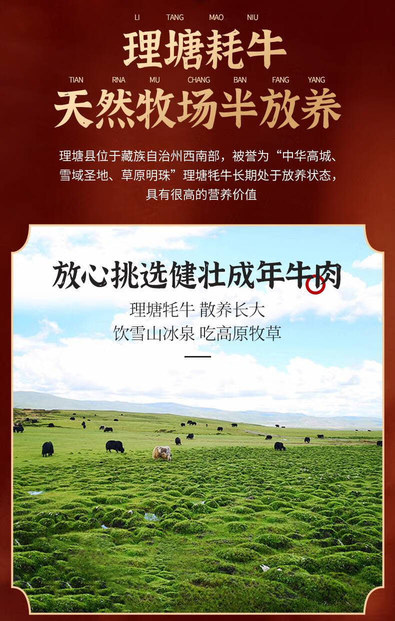 牦牛肉干理塘特产藏区牦牛肉干香辣肋条办公室休闲即食牛肉干零食