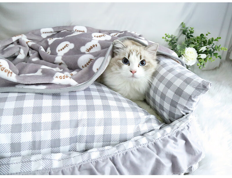 宠物专用法兰绒毯子猫猫咪睡觉用毛毯猫毯珊瑚绒的小