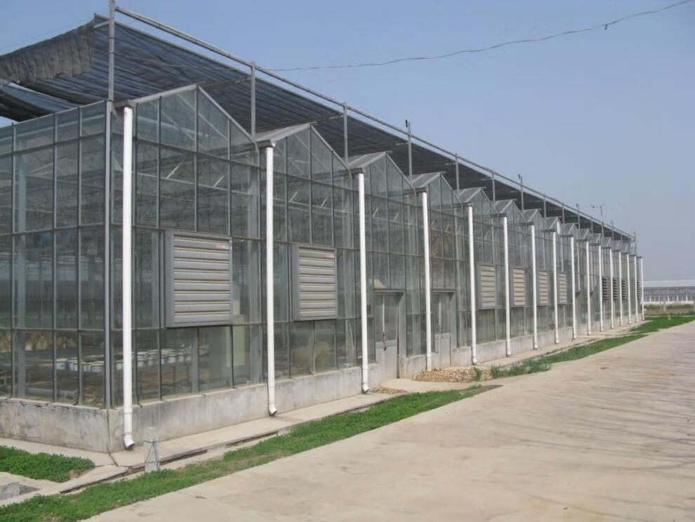 保温防水防尘膜农用养殖塑料纸大棚膜yx厚度14s进口透明膜2米宽2米长
