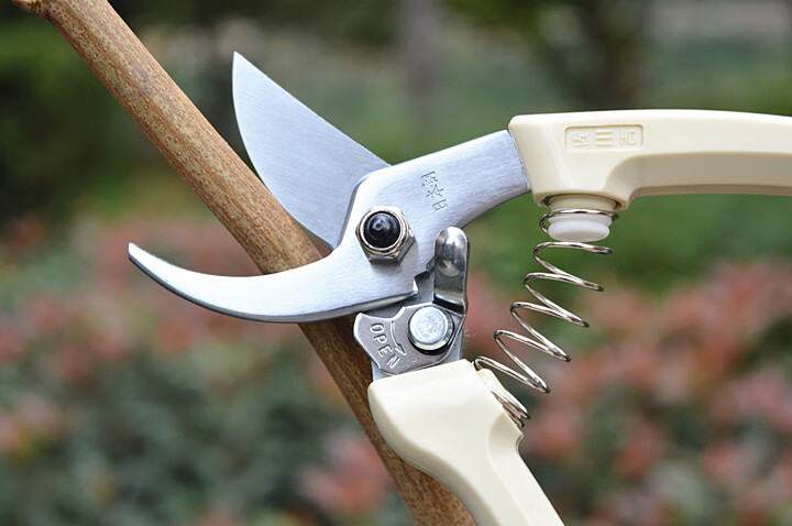 姜芮原装园艺剪刀修枝剪果树剪整枝剪盆景剪粗枝剪老农夫130修枝剪