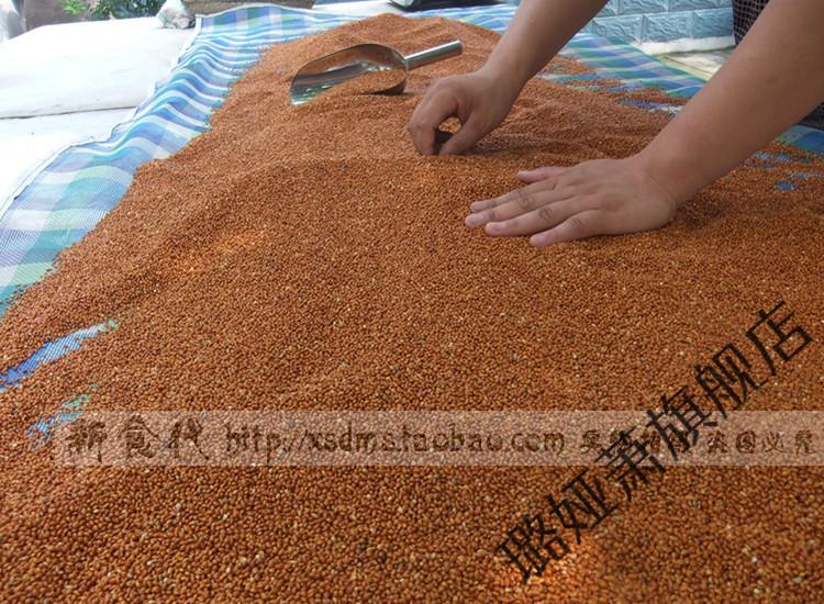 黍子枕头蒙稷填充物枕头黍子婴儿红谷子枕芯料黍子枕头填充物黍子枕头