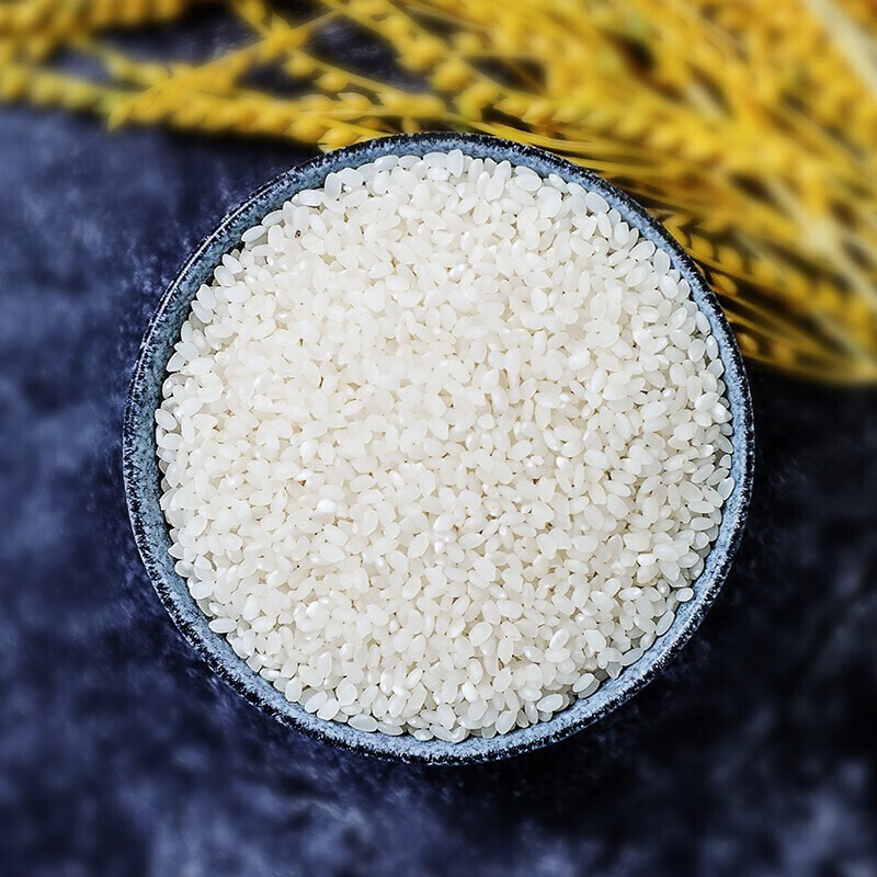 粮管家羊脂雪米5kg10斤大米新米非东北大米大米家用香米稻米乳玉香米