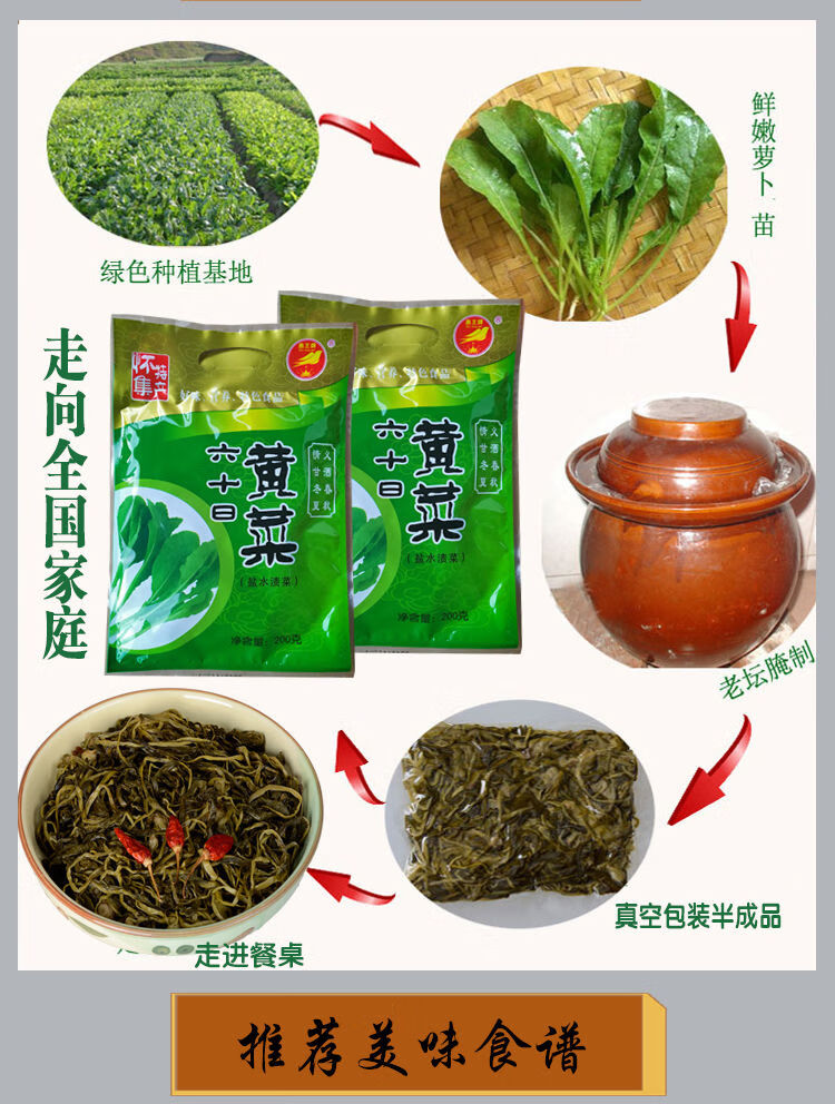 六十日黄菜广东特产怀集六十日黄菜老坛腌制农家酸菜下饭菜甘洒60日
