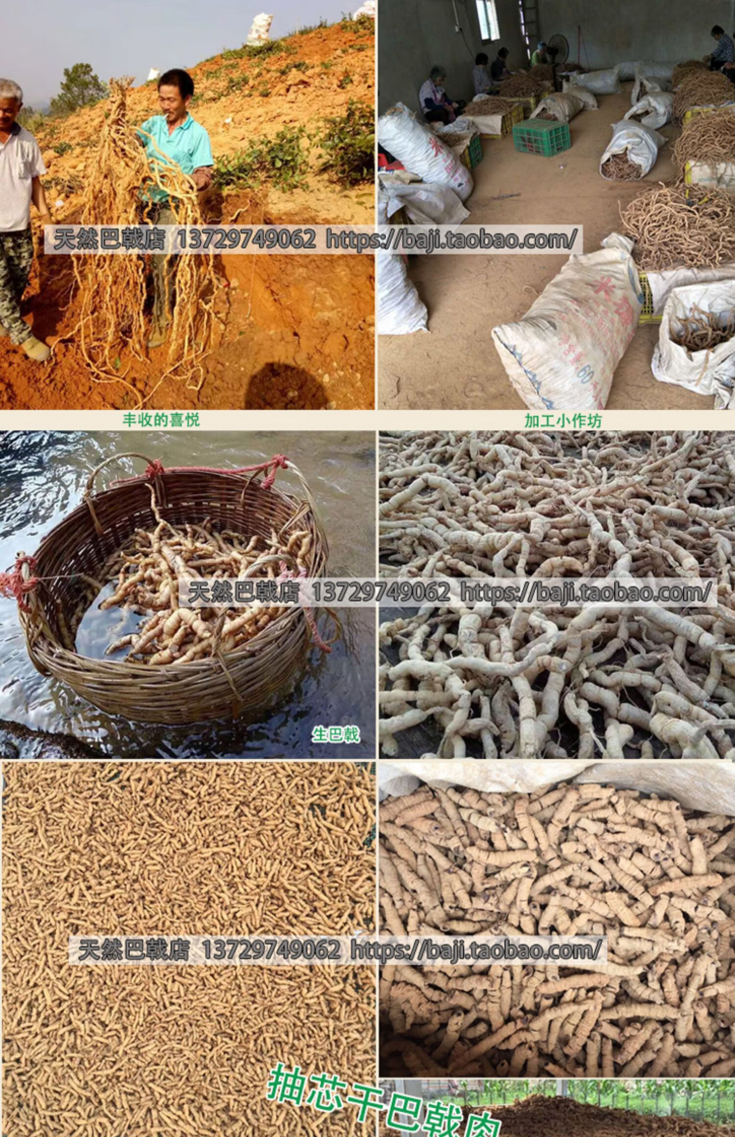 巴戟天特级野生中药材250g男性滋补泡酒煲汤料搭配肉苁蓉【图片 价格