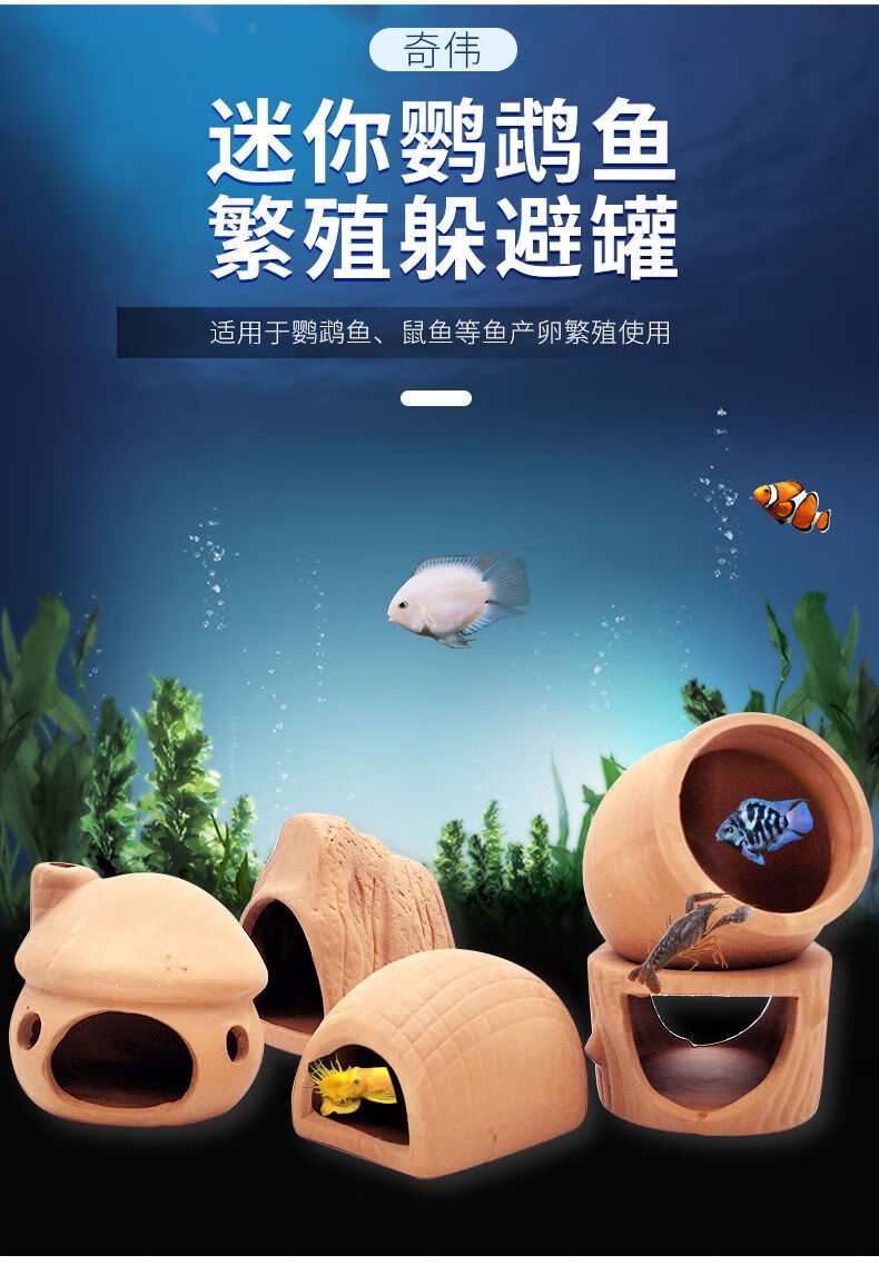 鱼缸造景虾屋虾窝躲避屋迷你鹦鹉鱼产卵罐小鱼繁殖罐躲避罐子陶罐白色
