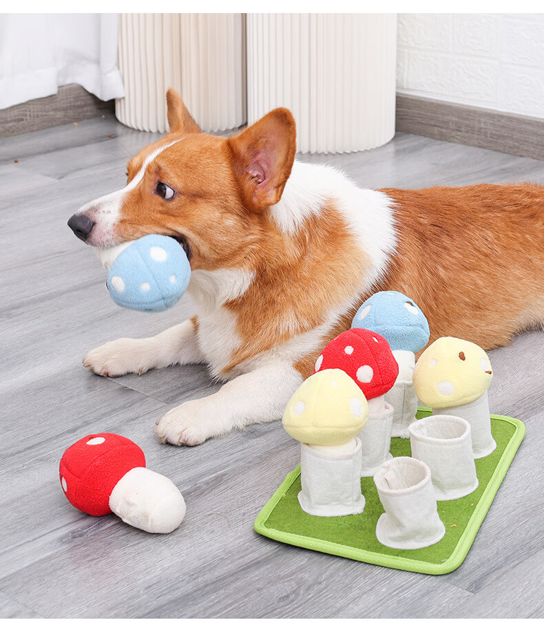 盼我pandada拔蘑菇训练益智狗玩具消耗体力慢食宠物玩具玩耍嗅闻发声