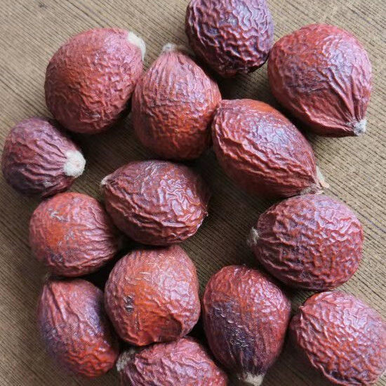 铁树果 中药材 铁树籽 凤凰蛋 苏铁果铁树子250克 另有铁树花 250克