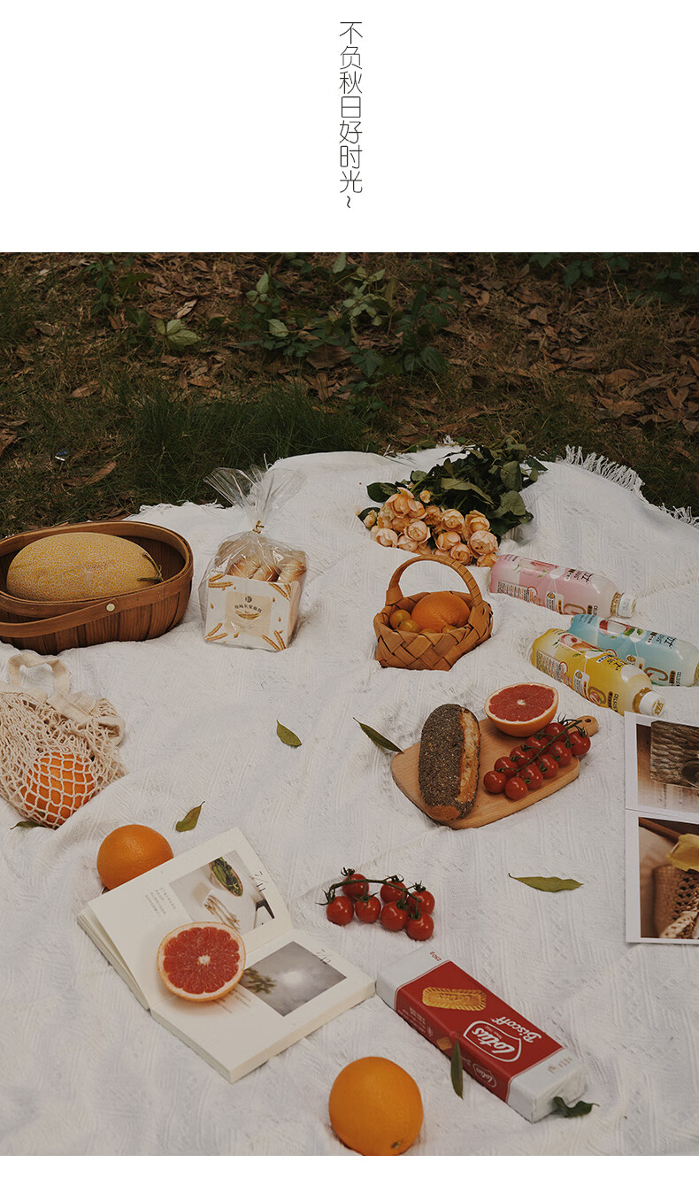 户外露营地垫野餐垫ins风沙滩垫加厚白色野餐布网红用品道具桌布白色