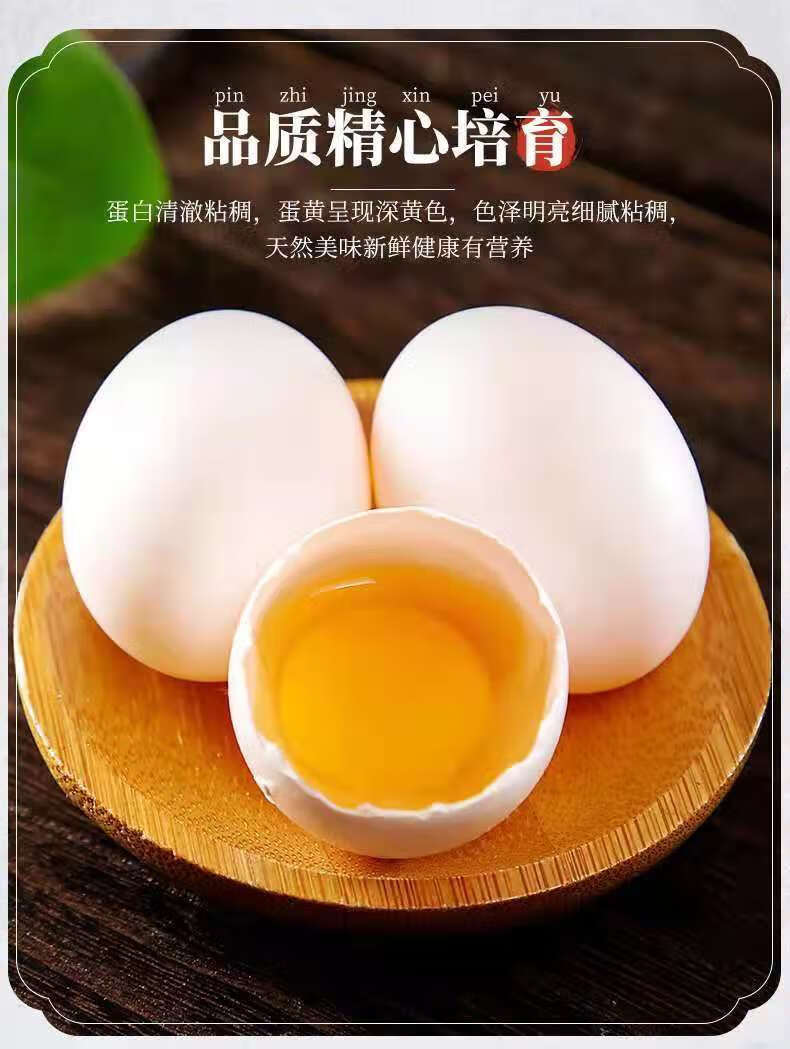 鸽子蛋白鸽蛋农家五谷原粮散养信鸽蛋30枚精美礼盒装600克以上顺丰